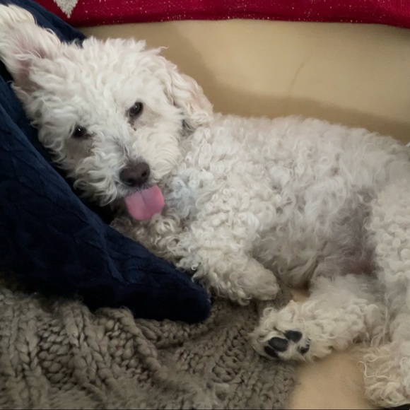 Meet your Posher, Mary - Picture 1 of 1